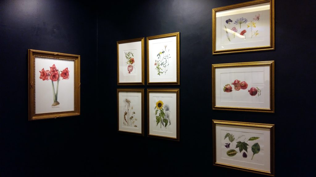 BOTANICALS