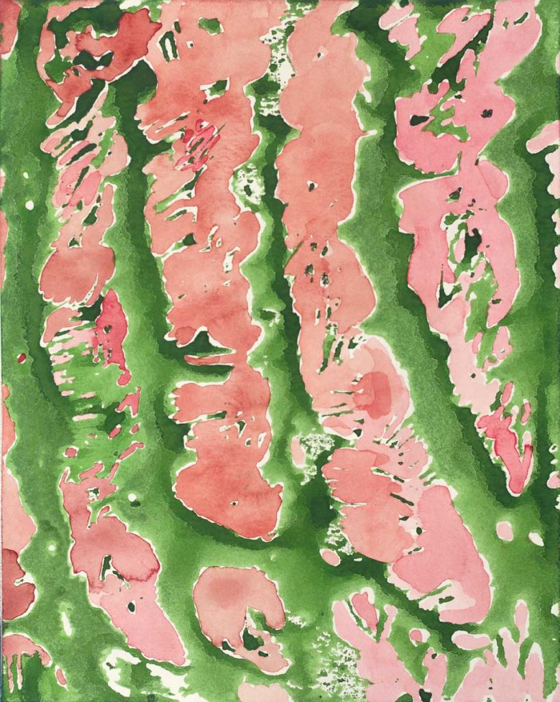 Rind Fragments 4