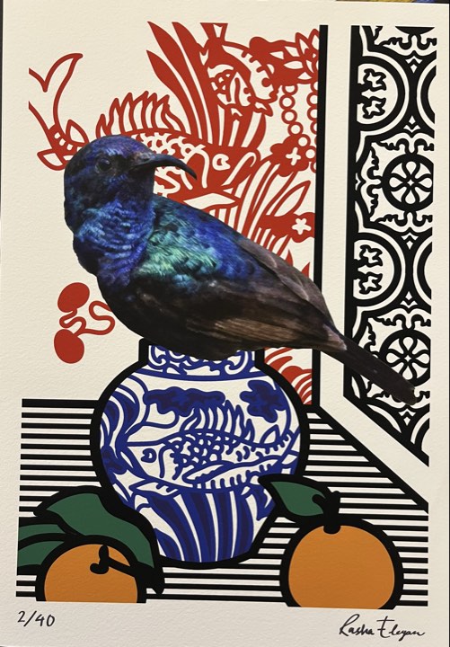 The sunbird in the land of oranges 1
