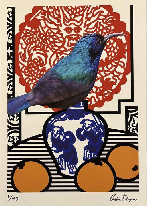 The sunbird in the land of oranges 2