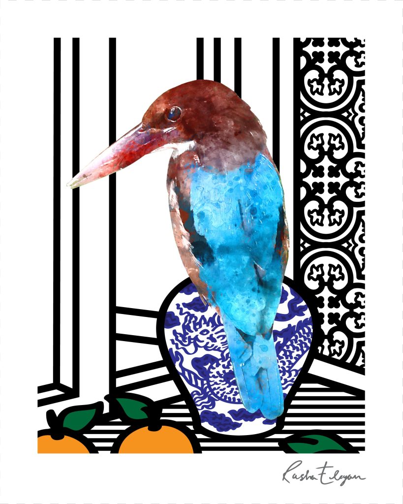 Kingfisher by Window